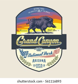 Wild boar, wild boar at dawn, national Park, Grand Canyon, illustration, vector