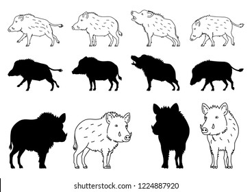 Wild Boar elements