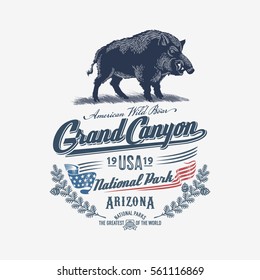 Wild boar, wild boar enraged, national Park, Grand Canyon, blue, illustration, vector