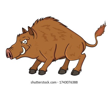 
wild boar with an evil eye. vector isolated on white background. stock illustration