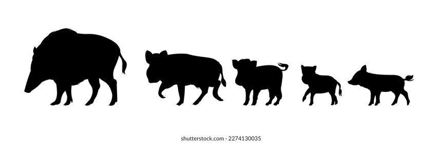 Wildschweinfamilie. Tier in natürlichen Lebensräumen. Wildschwein-Illustration. Einzeln auf weißem Hintergrund. Vektorgrafik.