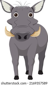 Wild boar in flat cartoon style illustration