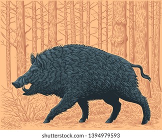 Wild boar in the forest. Hand drawn engraving. Editable vector vintage illustration. Isolated on color background. 8 EPS 