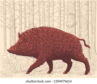 Wild boar in the forest. Hand drawn engraving. Editable vector vintage illustration. Isolated on light background. 8 EPS 