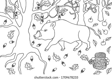 Wild boar, forest pig. Forest. coloring book. eps10 vector stock illustration. hand drawing. out line