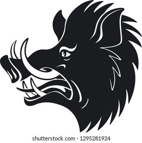 wild boar head