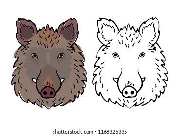 wild boar head drawing set