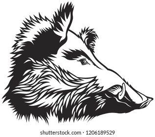 Wild boar head engraver scratchboard drawing style vector Logo Mascot Emblem Icon Tattoo design element