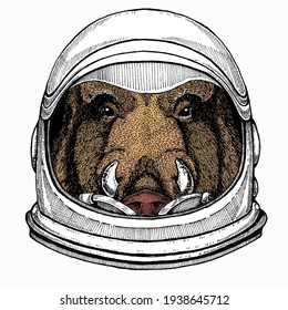 Wild boar, hog, pig. Animal head, portrait. Astronaut animal. Vector portrait. Cosmos and Spaceman. Space illustration about travel to the moon. Funny science hand drawn illustration.