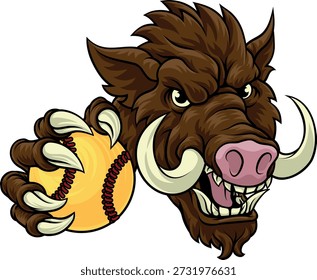 Un jabalí salvaje, cerdo jabalí de la navaja significan mascota dura de los deportes de la historieta que sostiene una pelota de softball 