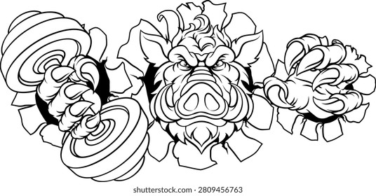 A wild boar, hog razorback warthog pig weight lifting trainer, exercise or body building gym cartoon sports mascot holding weights dumbbell