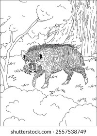 Wild Boar jungle coloring page outline vector