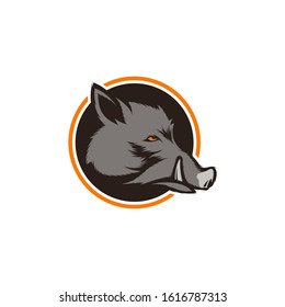 wild boar logo design vector