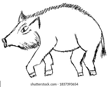 Wild boar. Motives of nature, preservation of the environment, hunting. Vector image in primitive style. Can be used in printing and web design