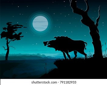 Wild boar, night landscape. Vector illustration.