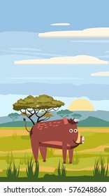 Wild boar on a background of the African landscape, savanna, Cartoon style, vector illustration