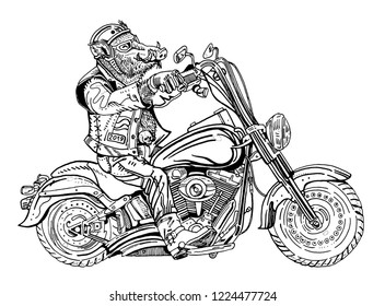 Wild boar on motorbike. Biker, motorcyclist. Symbol of 2019 - year of a pig. Hand drawn engraving style illustration. Sticker, poster, t shirt print, tattoo, coloring page. Rock music, heavy metal.