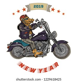 Wild boar on motorbike. Biker, motorcyclist. Symbol of 2019 - year of a pig. Retro style illustration with New Year inscription, motorcycle emblem style. Sticker, greeting card, poster.