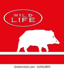 Wild boar on a red background with the inscription "wild life". Vector illustration.