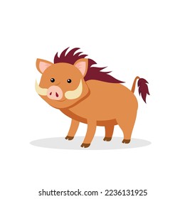 wild boar on white background