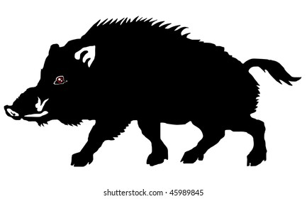 wild boar on the white background