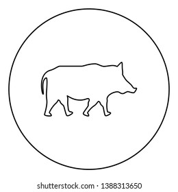 Wild boar Wild pig Hog Warthog icon in circle round outline black