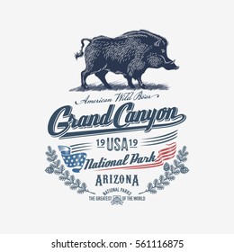 Wild boar, wild pig, national Park, Grand Canyon, blue, illustration, vector