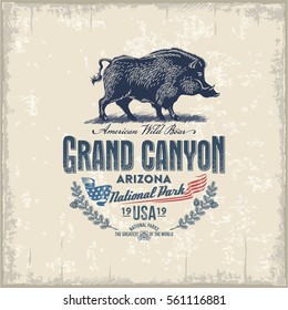 Wild boar, wild pig national Park Grand Canyon, vintage, illustration, vector