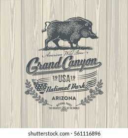 Wild boar, wild pig, national Park Grand Canyon on wooden background, illustration, vector