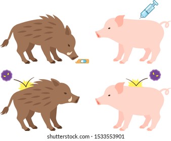 Wild boar and pig vaccination image illustration