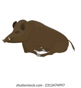 Wild boar. Wild pig, vector illustration