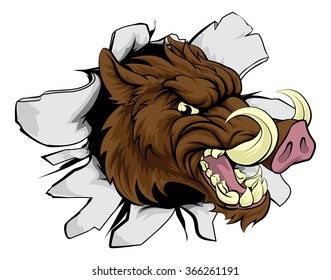 A wild boar or razorback cartoon sports mascot breaking through a wall
