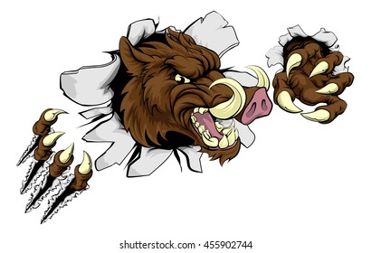 A wild boar or razorback warthog cartoon sport mascot tearing through a wall with his claws