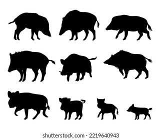 Wildschweine-Set. Erwachsene und Ferkel. Tier in natürlichen Lebensräumen. Wildschwein-Illustration. Einzeln auf weißem Hintergrund. Vektorgrafik