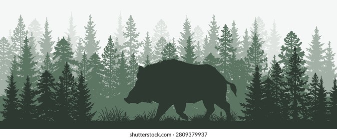 Wild Boar Silhouette in Pine Forest Landscape