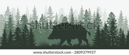 Wild Boar Silhouette in Pine Forest Landscape