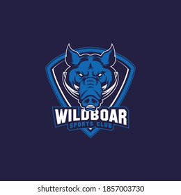 wild boar sports mascot shield with aggressive expression vector icon