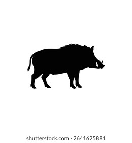 Wild Boar Standing Sideways in Natural Forest Habitat
