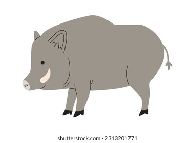 Wild Boar Standing Vector Illustration