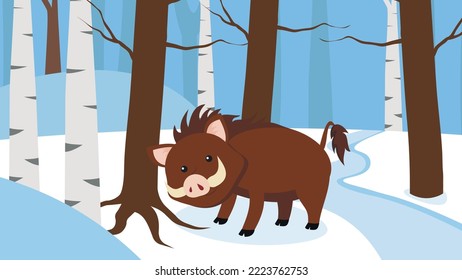 Wild boar stands in the snow in the forest among birches and other trees