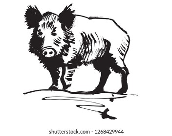 Wild Boar Stylized Line Drawing: Vector có sẵn (miễn phí bản quyền