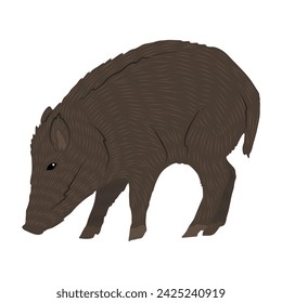 Wild boar Sus scrofa. Realistic vector animals