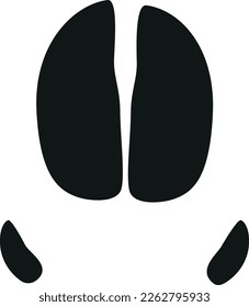 wild boar track paw print Vector animal pigs