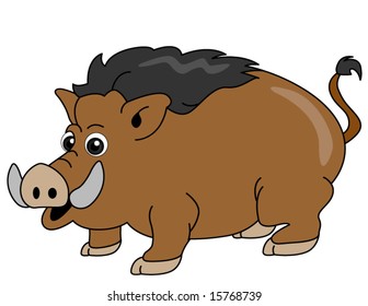 Wild Boar - Vector