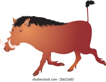 wild boar vector