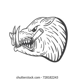 wild boar vector illustration