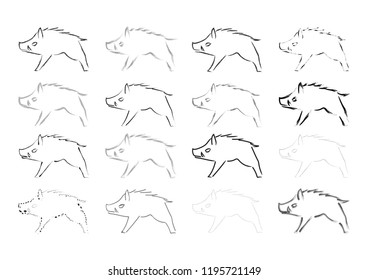wild boar vector illustration: drawing