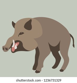 wild boar, vector illustration, flat style, profile view