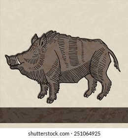 Wild boar in vintage style