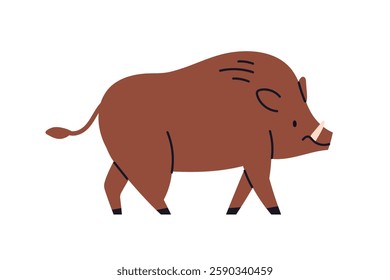 Wild boar walking. Chunky mammal with tusks. Forest pig animal, strong European hog profile, side view. Fauna, wildlife nature. Flat graphic vector illustration isolated on white background